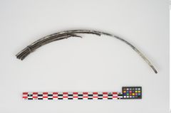 Foto von Bronzesitula (NHMW-PRAE-024606)